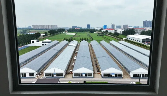 管理培训在跨部门协作中的实际应用与价值